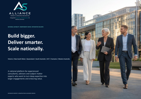 Front cover preview of APIS Consultant Partnering Program brochure